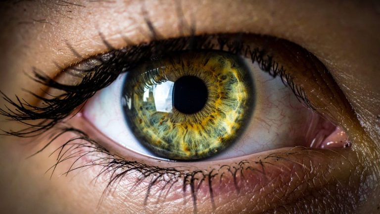 Yeux Hazel : définition et caractéristiques